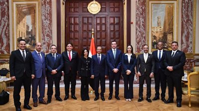 نواب التنسيقية يتسلمون بطاقات عضوية الشيوخ استعدادا للفصل التشريعي الثاني