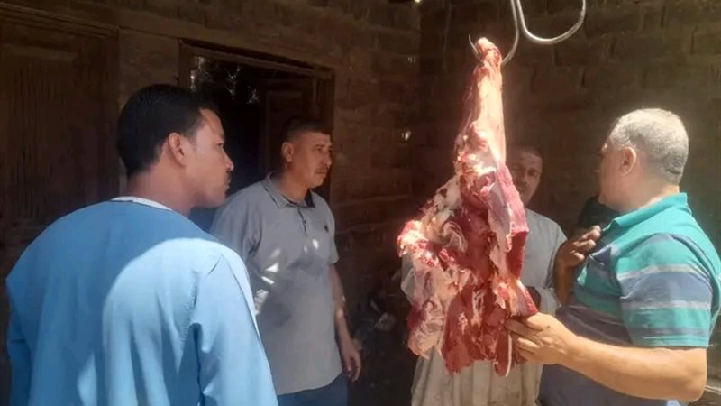 مخالفات تموينية