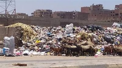 حملة نظافة مكبرة بحي غرب ورفع 25 طن قمامة لتسيير الطرقات بسوهاج