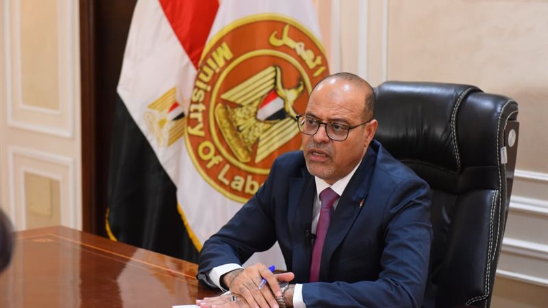 وزير العمل 