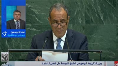 عماد الدين حسين: خطاب مصر بالأمم المتحدة يؤكد الثوابت ويرفض تهجير الفلسطينيين