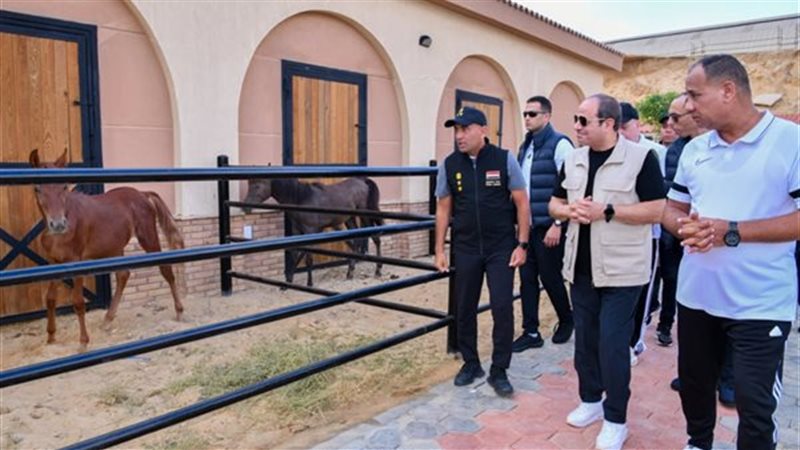 الرئيس السيسي 
