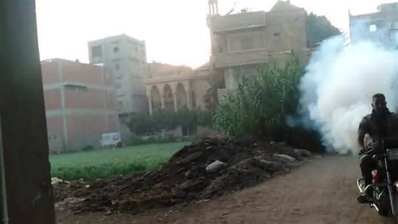 جانب من أعمال الرش بالقرى 