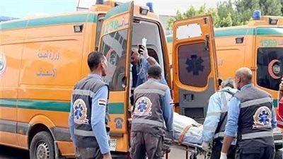 حبس سائق دهس 3 أشخاص أثناء عبورهم الطريق بالصف 