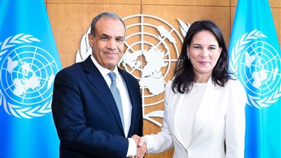 وزير الخارجية يستعرض رؤية مصر لإصلاح الأمم المتحدة ومراعاة مصالح الدول النامية 