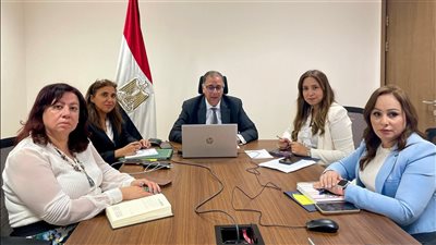 الخارجية: دعم متواصل للمصريين بجنوب أفريقيا وبتسوانا وليسوتو