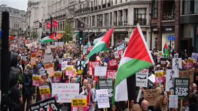 نيوزيلندا تختار الجانب الخطأ من التاريخ وشعبها يثور بسبب فلسطين.. ما القصة؟