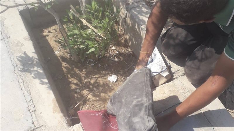 جانب من الزراعات