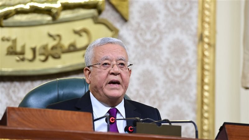 حنفي الجبالي رئيس مجلس النواب