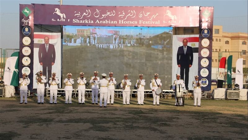 مهرجان الشرقية للخيول العربية الأصيلة
