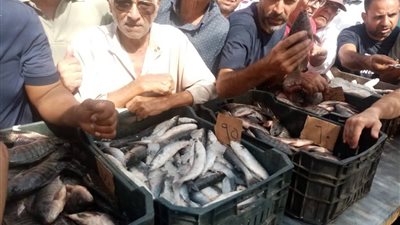 محافظ الدقهلية: أسعار السمك بالمعرض الدائم تبدأ من 60 جنيها والبيض بـ140