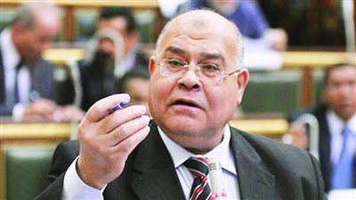 الشهابي: المعركة الانتخابية مسؤولية وطنية والناخب المصري أصبح أكثر وعيًا ونضجًا