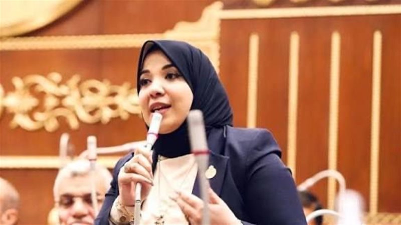 الدكتورة دينا هلالي، عضو مجلس الشيوخ