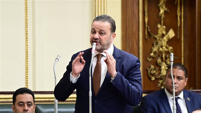 النائب أحمد الشرقاوي