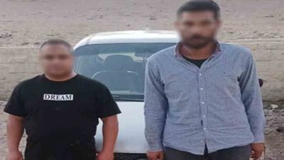 ضبط شخصين وراء واقعة تسميم كلاب ضالة ونفوقها بالجيزة