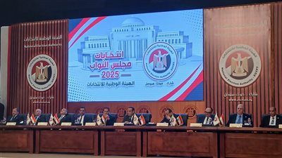 تحديد مواعيد الإجراءات المشتركة للمرحلة الأولى والثانية لانتخابات النواب 2025.. تفاصيل