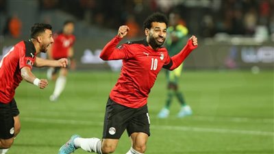 قناة مجانية تنقل مباراة مصر والسنغال في نصف نهائي أمم أفريقيا 2025