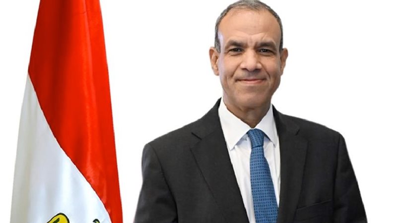 الدكتور بدر عبد العاطي، وزير الخارجية 