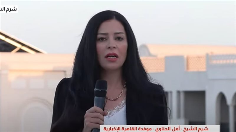 الإعلامية أمل الحناوي موفدة قناة القاهرة الإخبارية