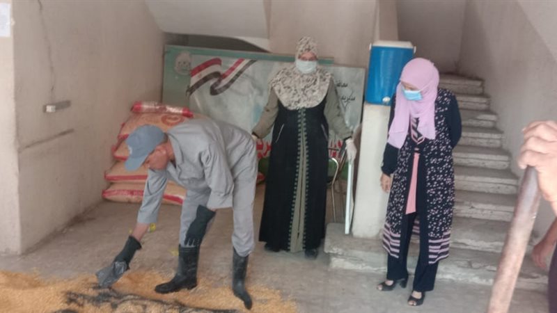 حملة القوارض بزراعة الفيوم