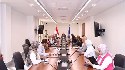 محافظ دمياط يناقش المخططات التفصيلية لمشروعات التطوير بمدينة عزبة البرج والشعراء