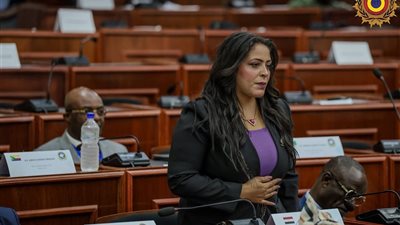 نائبة التنسيقية مرثا محروس تمثل مصر في الجلسة الـ12 للبرلمان الدولي 