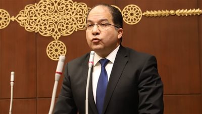 عضو الشيوخ: وقف إطلاق النار إنجاز دبلوماسي يعزز مكانة مصر كوسيط للسلام