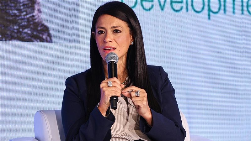 وزيرة التخطيط 