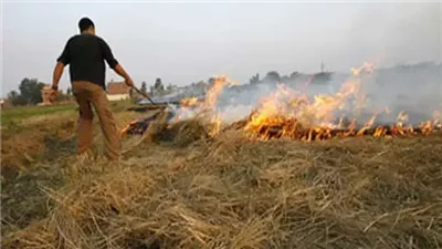 الأزهر للفتوى: حرق قش الأرز حرام شرعًا.. ويعد إفسادًا في الأرض وإضرارًا بالنفس والبيئة