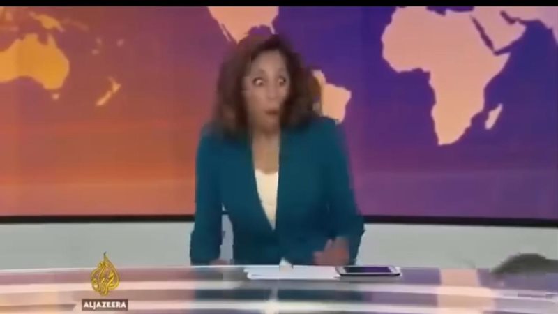فأر يقتحم استوديو قناة الجزيرة الإنجليزية