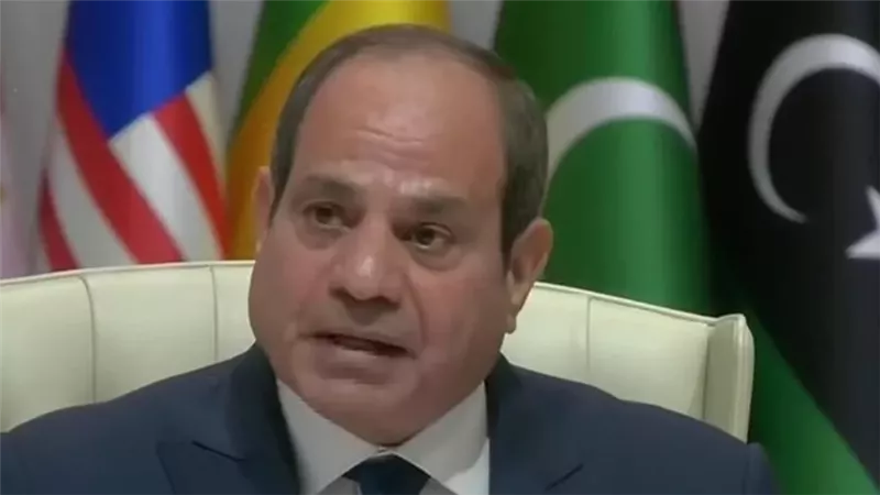 الرئيس السيسي 