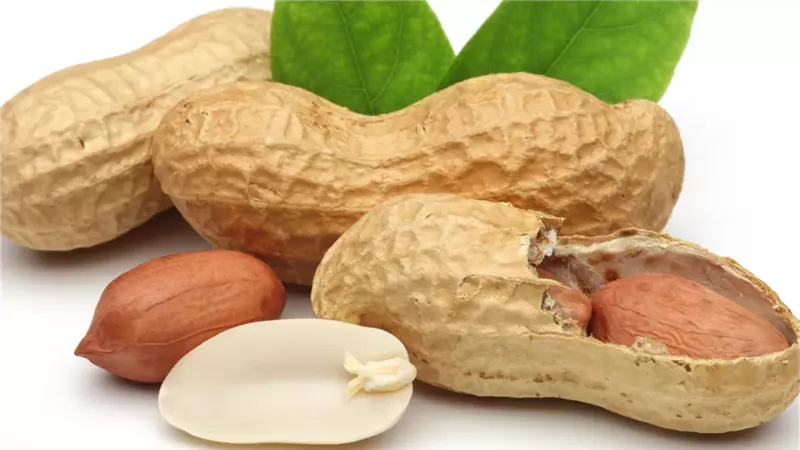 الفول السوداني 