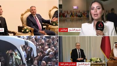 هاجر جلال من شرم الشيخ: الدولة الفلسطينية أصبحت نصب أعين المجتمع الدولي