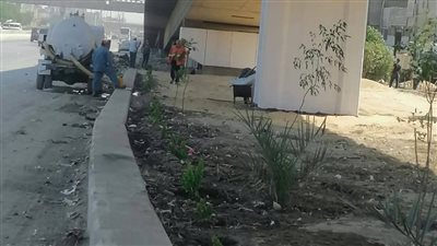 استمرار رفع المخلفات وتحويل البؤر العشوائية إلى مساحات خضراء بالقليوبية