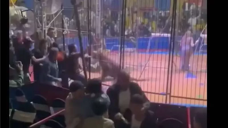 واقعة الحادثة
