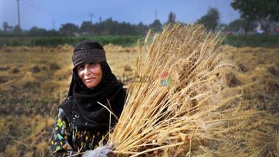 المرأة والفتاة في العلوم.. نماذج مصرية تلهم العالم في اليوم العالمي للتميز العلمي