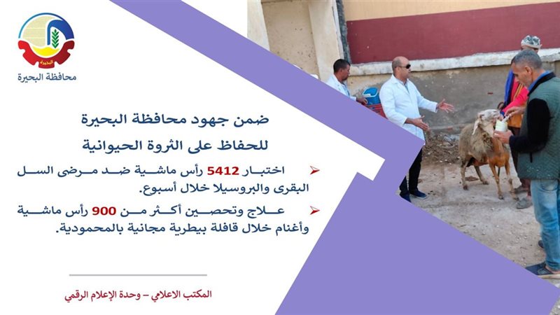 جانب من الحملة