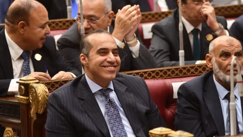 وزير الشئون النيابية 