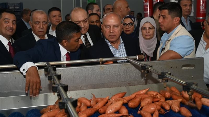 كامل الوزير