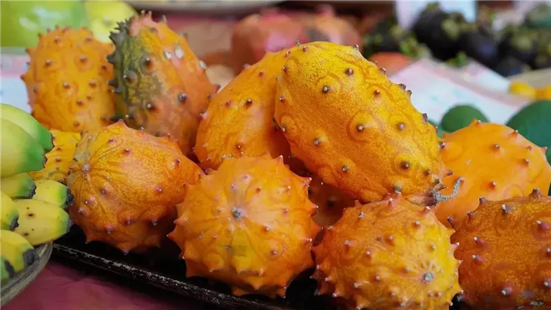 نبق البحر 