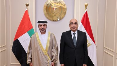 وزير العدل يستقبل سفير دولة الإمارات العربية المتحدة بالقاهرة