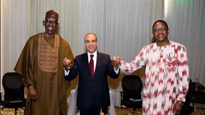 وزير الخارجية يشيد بنجاح الشركات المصرية في السوقين المالي والبوركيني
