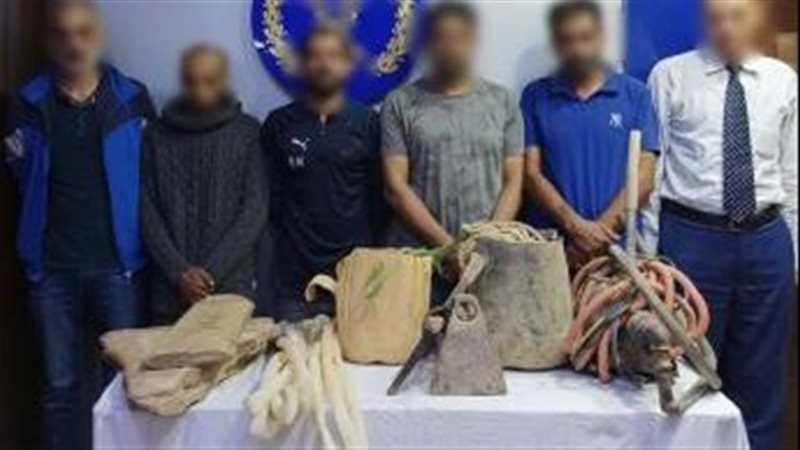 صورة المنقبون عن الاثار 
