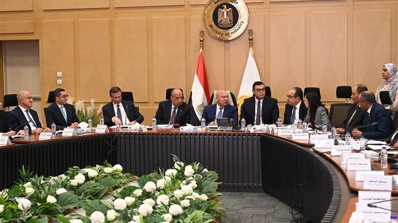 المجموعة الوزارية للتنمية الصناعية