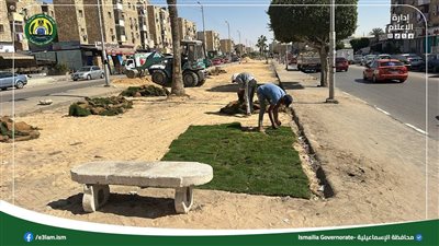 تطوير شبكة الري بالشارع التجاري واستكمال المسطحات الخضراء وفرش النجيل بالإسماعيلية
