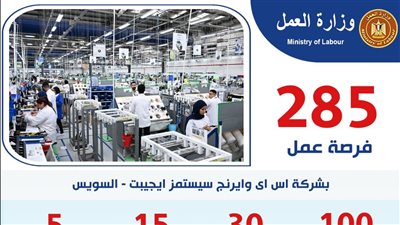 285 فرصة عمل جديدة بشركة «إس آي وايرنج سيستمز إيچبت» بالسويس.. تفاصيل 