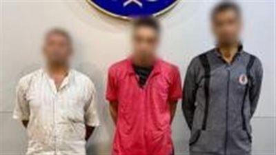 كشف ملابسات مقطع فيديو لتعذيب كلب بالقليوبية وضبط المتهمين