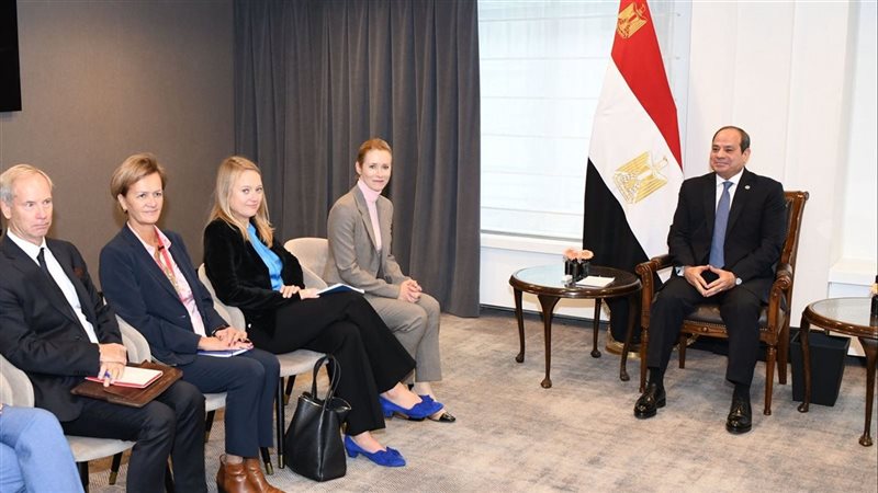 الرئيس السيسي 