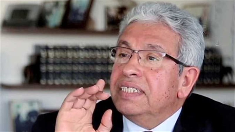 الدكتور عبد المنعم سعيد 