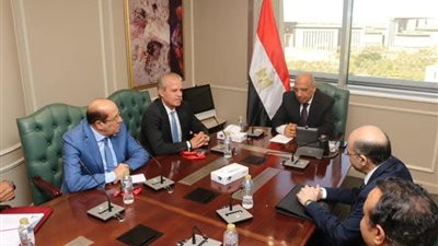 وزير الكهرباء يبحث إنشاء مجمع صناعي متكامل لاستخلاص العناصر النادرة